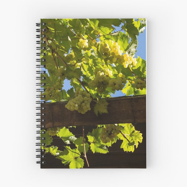 Item preview, Overhead Grape Harvest - Summertime Dreaming of Fine Wines designed and sold by Georgia Mizuleva.