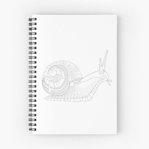 Item preview, Snail Line Drawing designed and sold by KsbAesthetics.