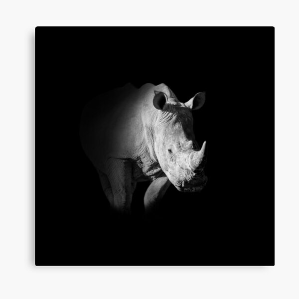 Item preview, Black And White Rhino Portrait designed and sold by Cathy Withers-Clarke.