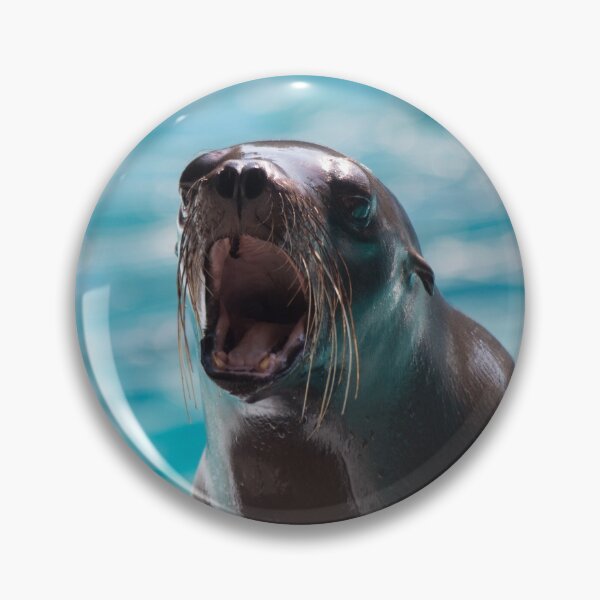 Item preview, Pinniped Friend designed and sold by Jacquelie.