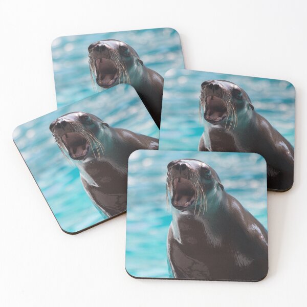 Item preview, Pinniped Friend designed and sold by Jacquelie.