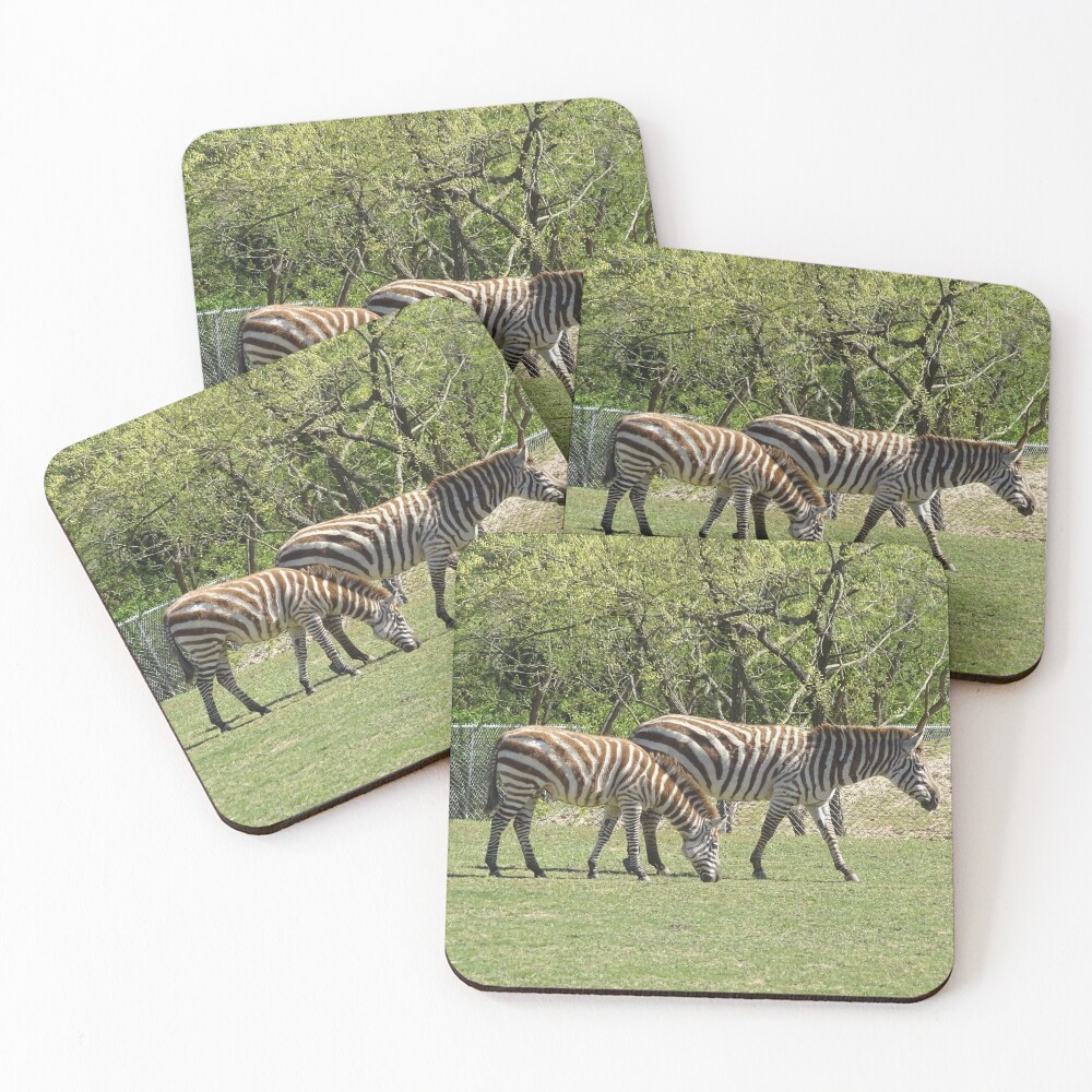 Item preview, Coasters (Set of 4) designed and sold by Lynney.