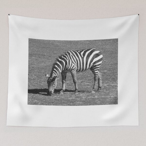 Item preview, Zebra Love designed and sold by Lynney.