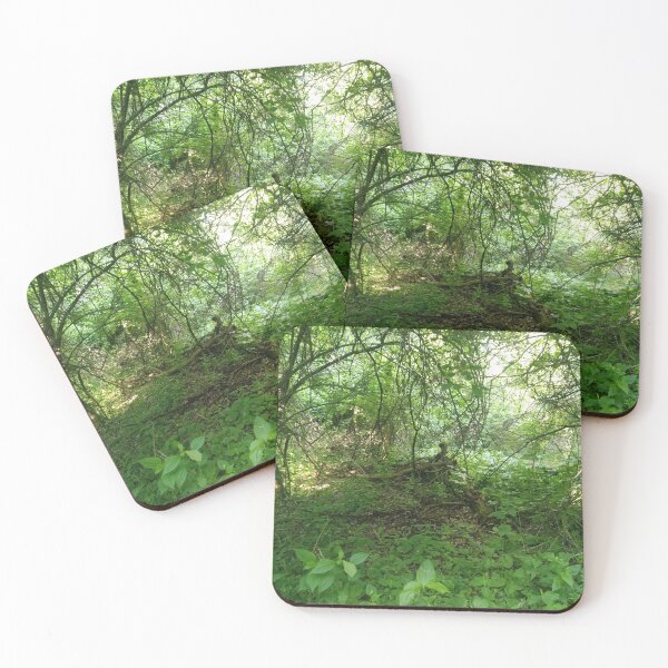 Item preview, Forest and Vegetation designed and sold by NathanMoore92.