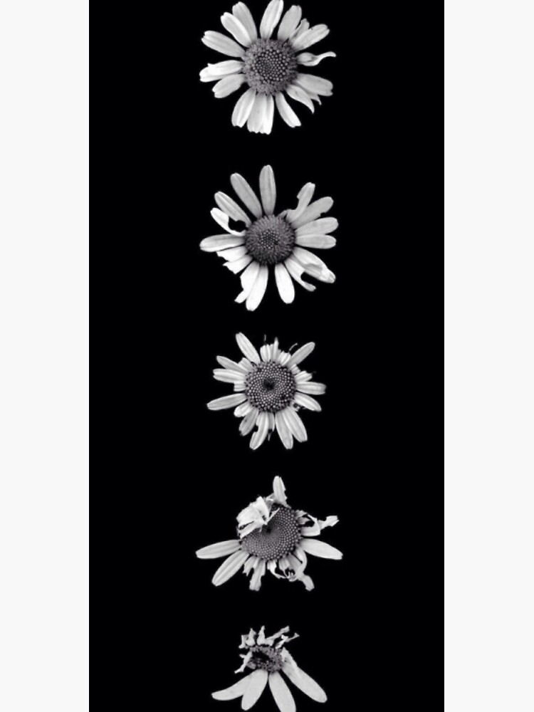 "Dead flowers" Sticker by hoeirl Redbubble