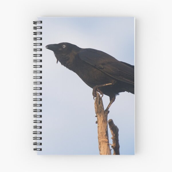 Item preview, Crow Craw designed and sold by byronbackyard.
