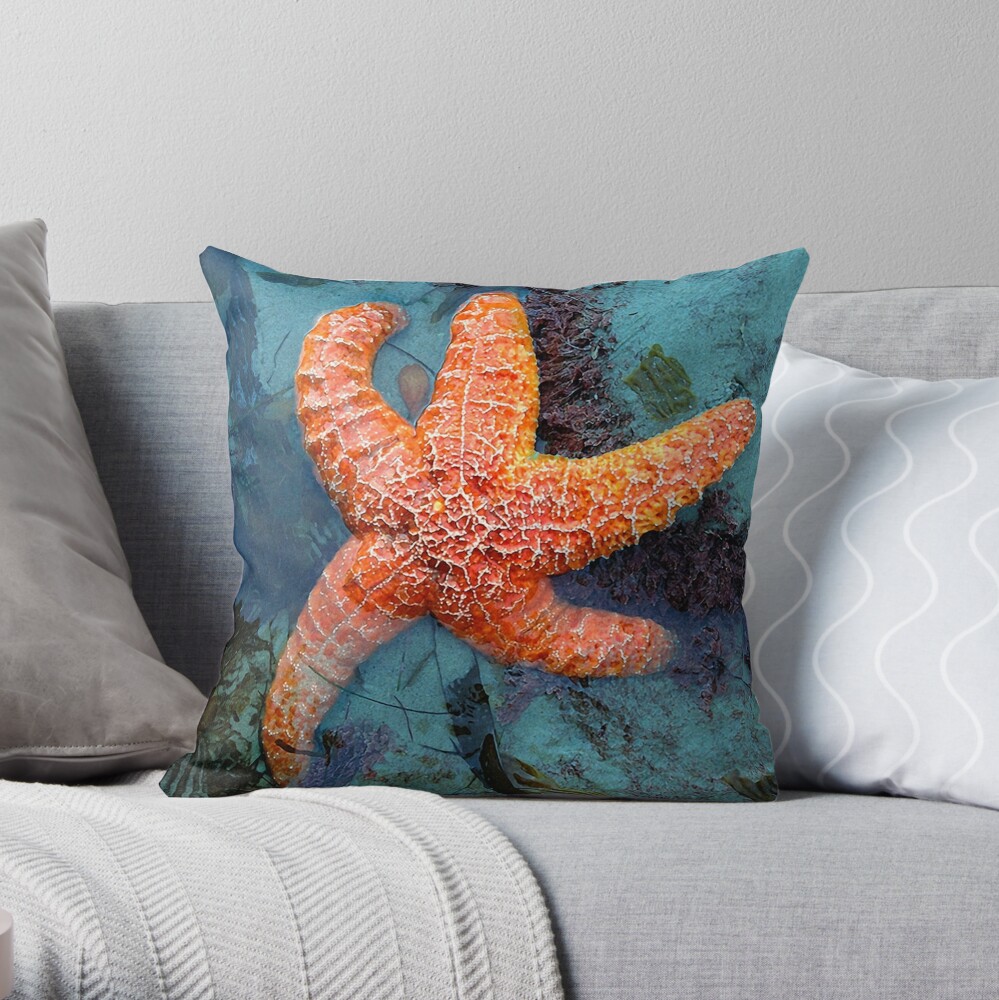 Starfish and Sea Fan Decorative Pillows
