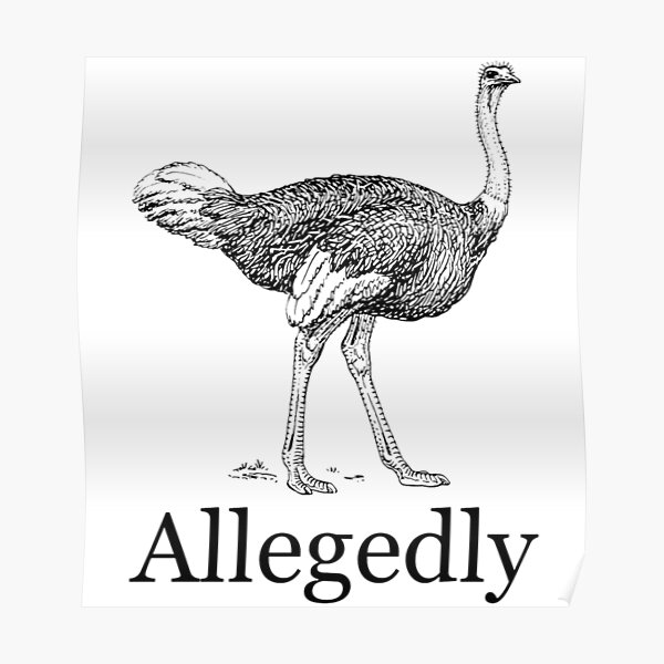 Allegedly Letterkenny design classic Poster