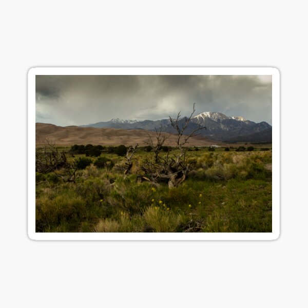Great Sand Dunes, Colorado Sticker