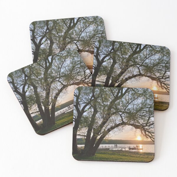 Item preview, Picnic nocturno en Stewart Park designed and sold by laurelprime.