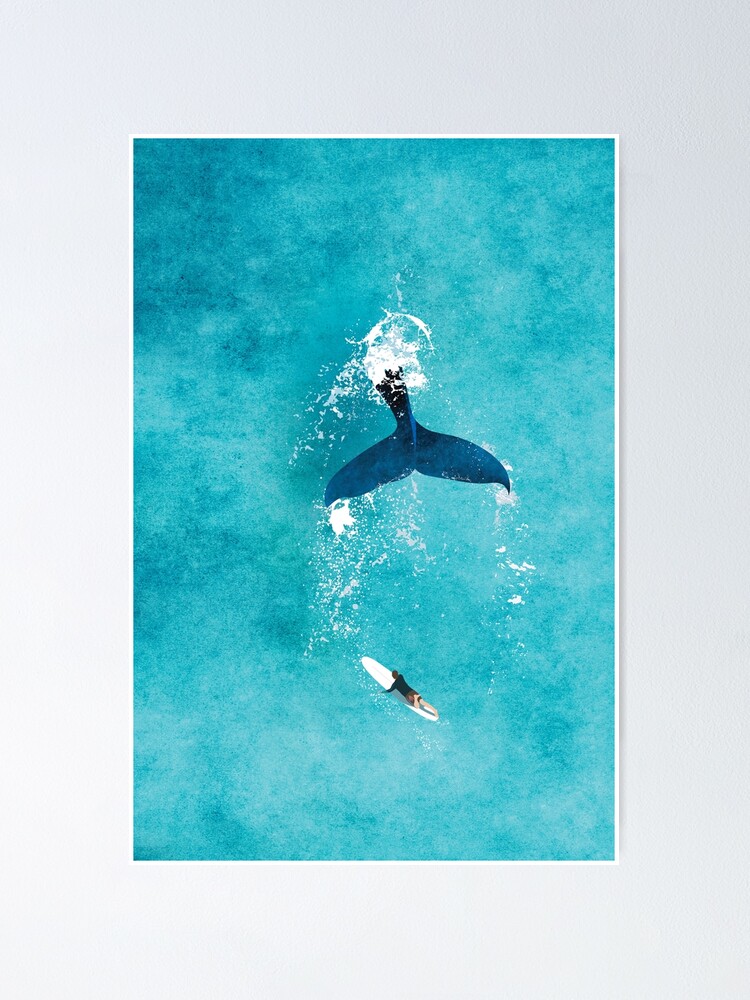 Humpback Whale Aerial View\