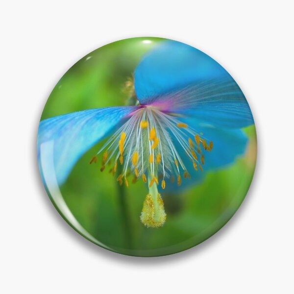 Item preview, Himalayan Blue Poppy  designed and sold by Alisonchambers2.