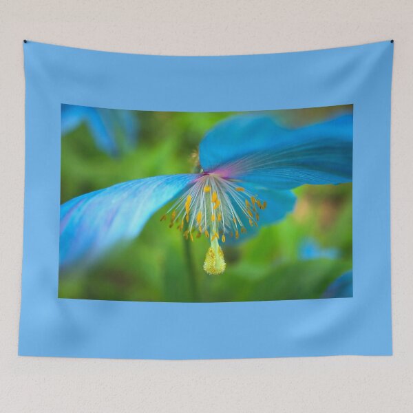 Item preview, Himalayan Blue Poppy  designed and sold by Alisonchambers2.