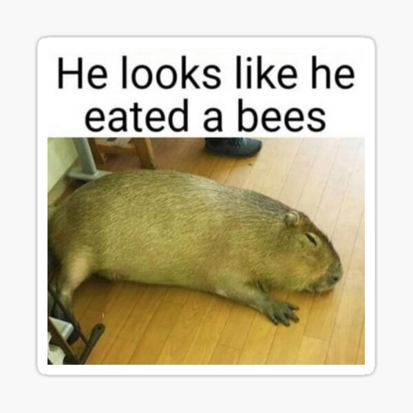 "He looks like he eated a bees" Sticker for Sale by Banime | Redbubble