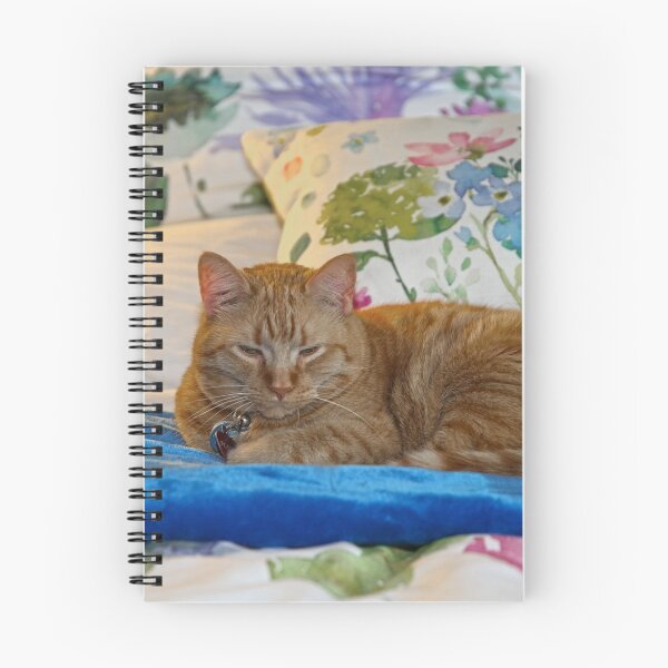 Item preview, Peaches on Bed designed and sold by mahindle.