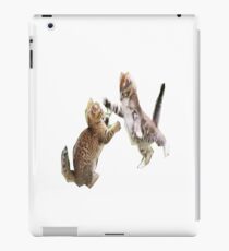cute cats iPad Case/Skin