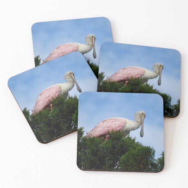 Item preview, Beautiful Spoonbill in the Trees designed and sold by richardbryce.