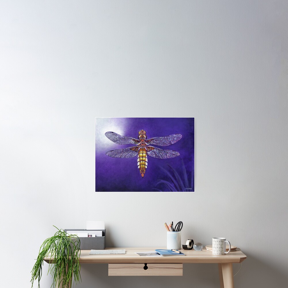dragonfly broad bodied chaser painting Poster
