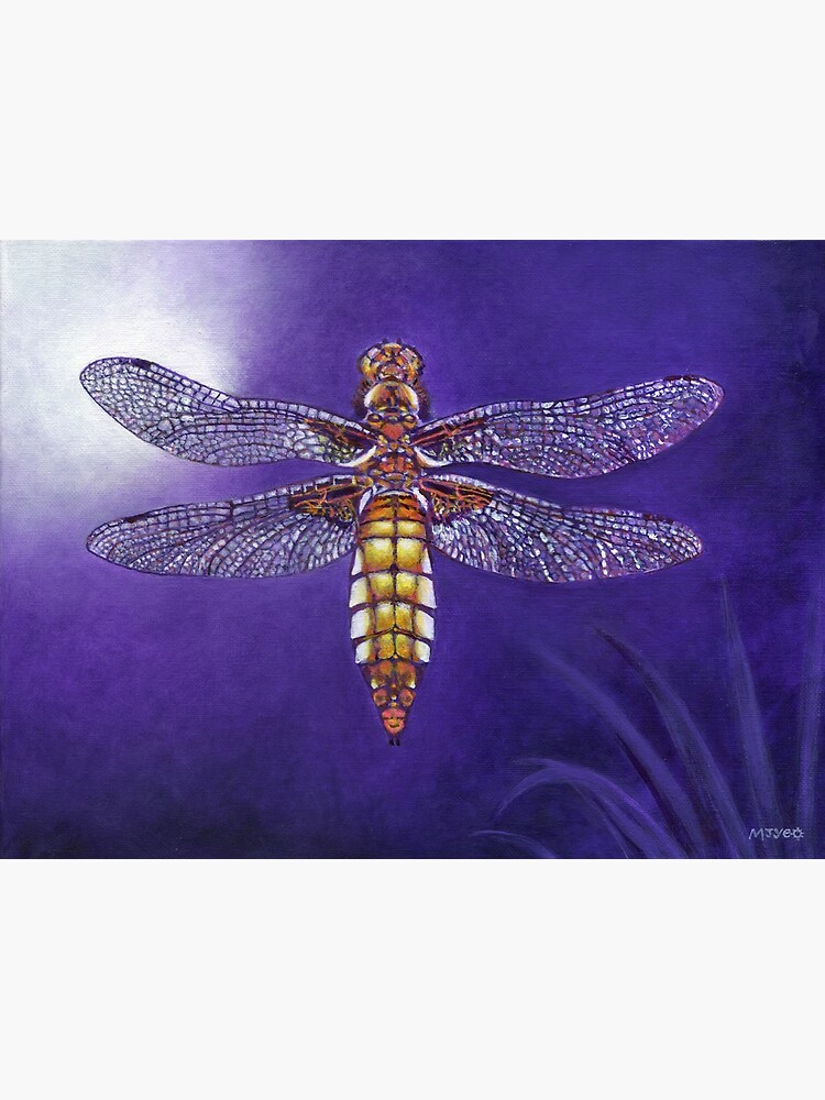 dragonfly broad bodied chaser painting by nature2canvas