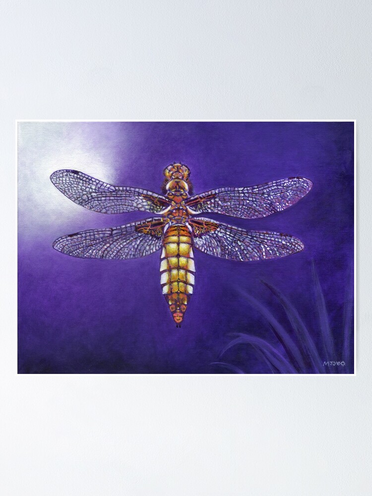 Alternate view of dragonfly broad bodied chaser painting Poster