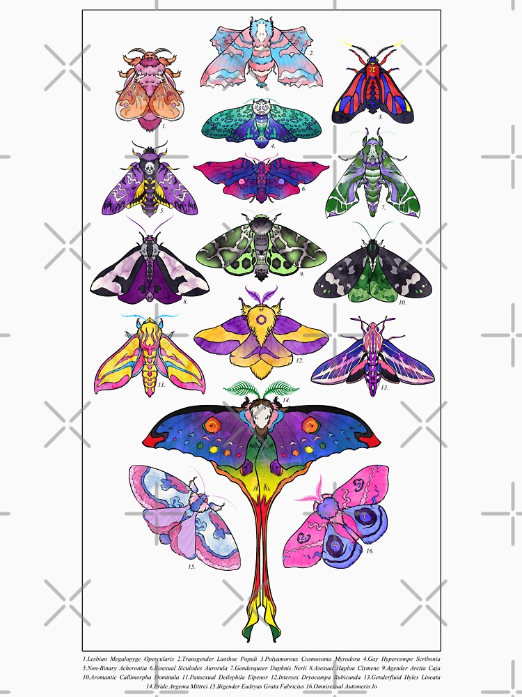Pride Moths: Full by EvaraHargreaves