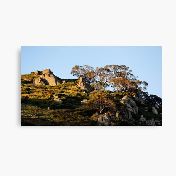Item preview, Snowgums designed and sold by Nicholas Blackwell.
