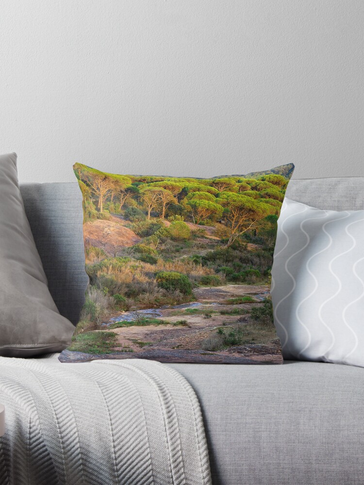 Thumbnail 1 of 4, Pillow, Parasol pines forest under the sunset light designed and sold by patmo.