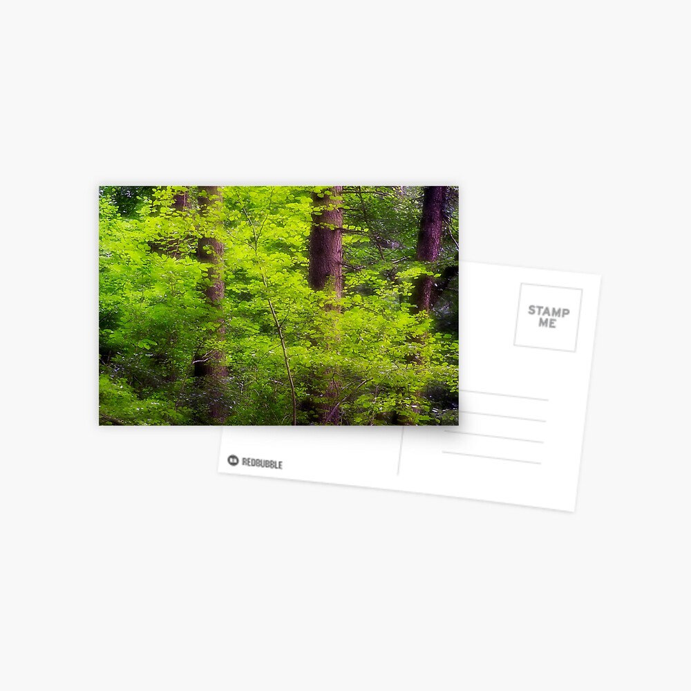 Item preview, Postcard designed and sold by patmo.