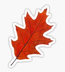 Rotes Herbstblatt Sticker