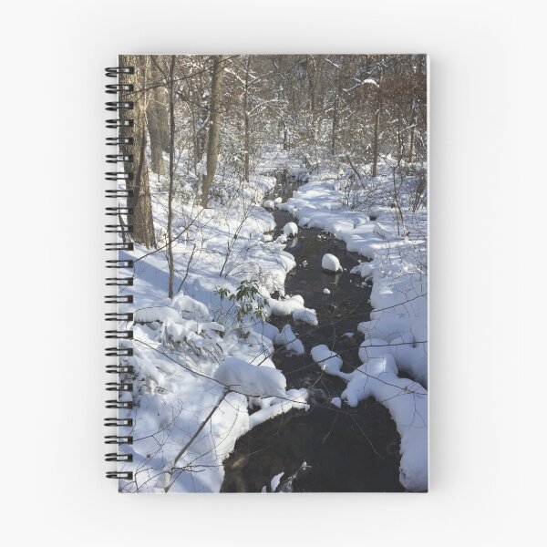 Item preview, Stream in winter designed and sold by ericalipper.