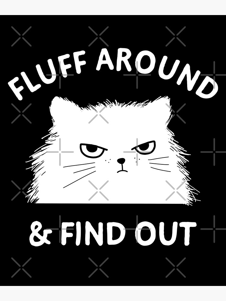 Fluff Around And Find Out Funny Cat Humor Hilarious Kitten Puns And Memes Unimpressed But 