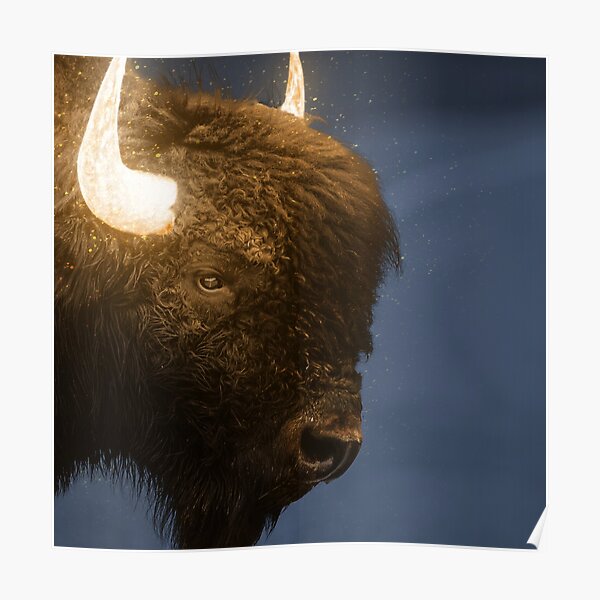 Yaks Posters Redbubble