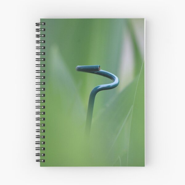 Item preview, Simply Green IMG_7620 designed and sold by Martha Medford.
