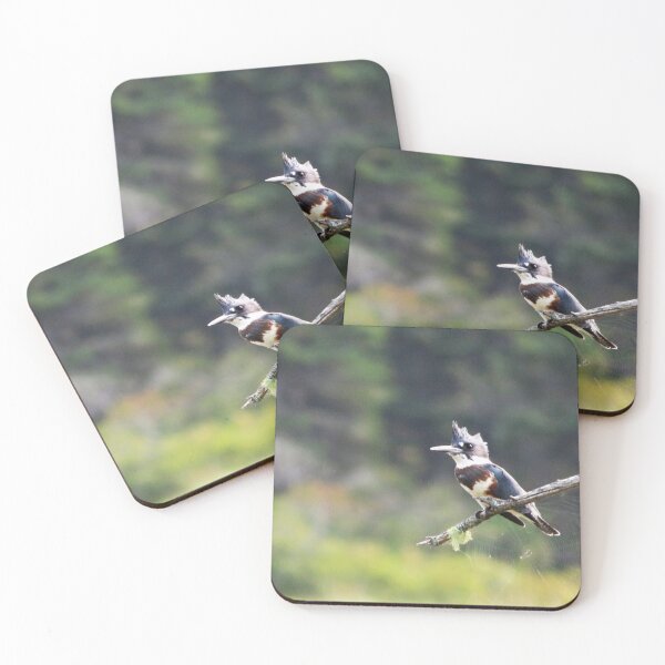 Item preview, Kingfisher on the Search designed and sold by Monica-Stroud.