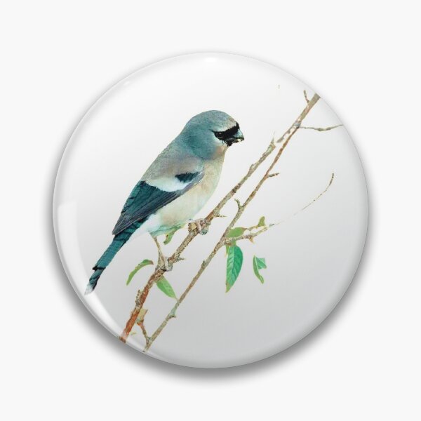 Item preview, Flarebirds of the South China Sea     Among the South Pacific Islands, there is a kind of bird called the "Landbird." designed and sold by zenger2021.