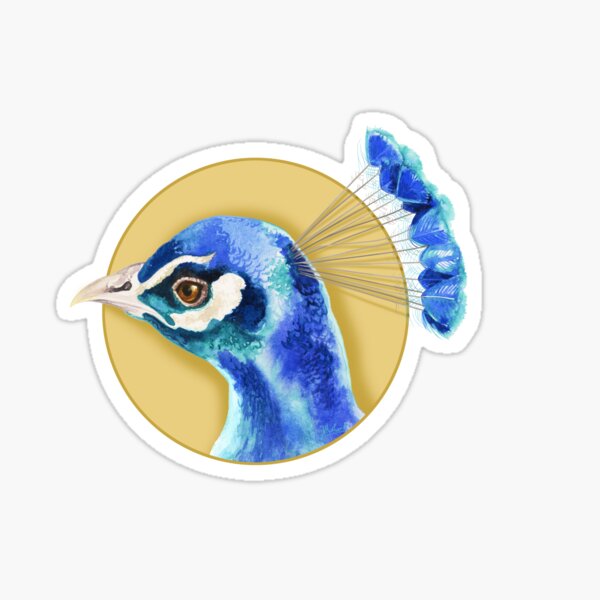 Peacock  Sticker