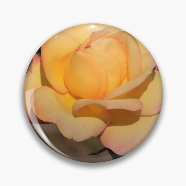 Artikelvorschau, Gelbe Rose auf Naturhintergrund entworfen und verkauft von olena2552.