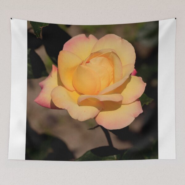 Artikelvorschau, Gelbe Rose auf Naturhintergrund entworfen und verkauft von olena2552.