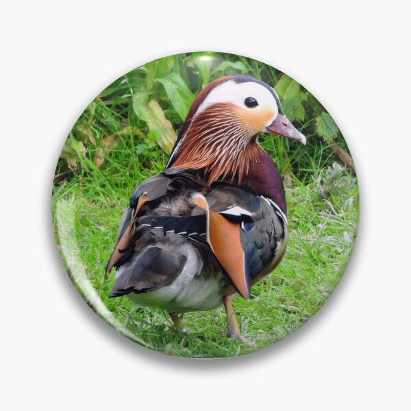 Item preview, A Delightful Male Mandarin Duck designed and sold by Karen Thomson.