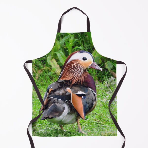 Item preview, A Delightful Male Mandarin Duck designed and sold by Karen Thomson.