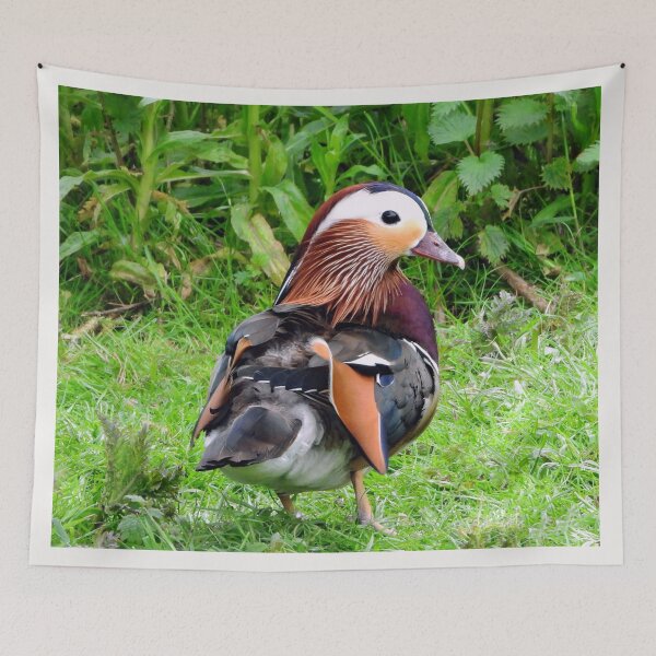 Item preview, A Delightful Male Mandarin Duck designed and sold by Karen Thomson.