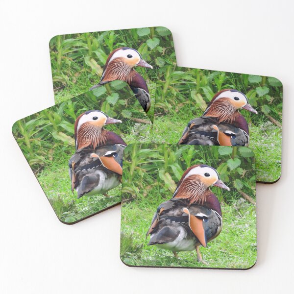 Item preview, A Delightful Male Mandarin Duck designed and sold by Karen Thomson.