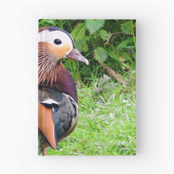 Item preview, A Delightful Male Mandarin Duck designed and sold by Karen Thomson.