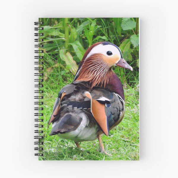 Item preview, A Delightful Male Mandarin Duck designed and sold by Karen Thomson.