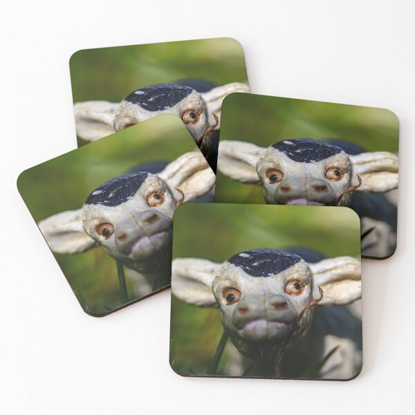 Item preview, Mad Cow designed and sold by photojoe95.