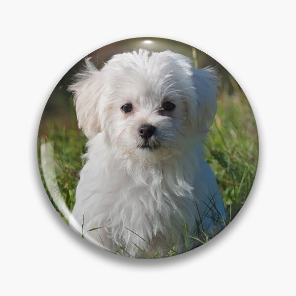 Item preview, Maltese Dog Portrait designed and sold by OByD.