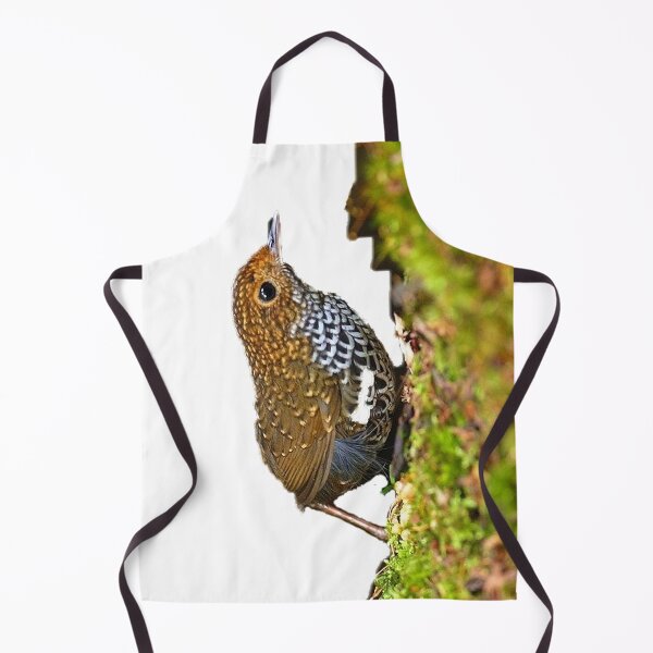 Item preview, Scaly-breasted wrens are small birds. The mouth is long, straight and slender, with a slightly curved tip and no beard designed and sold by zenger2021.