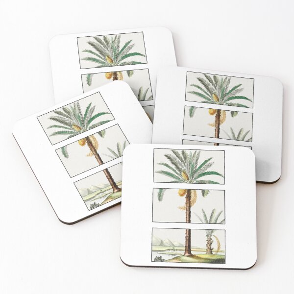 Item preview, Hand Drawn Palm Tree - Vintage Illustration designed and sold by Happy Puppy Print On Demand.