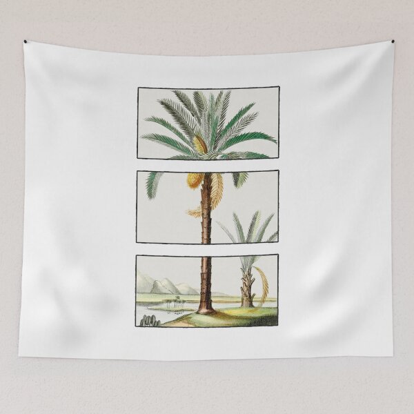 Item preview, Hand Drawn Palm Tree - Vintage Illustration designed and sold by Happy Puppy Print On Demand.
