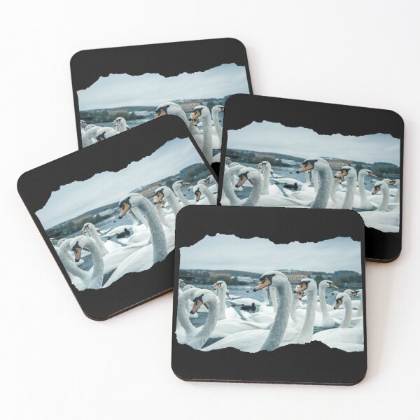 Item preview, Abbotsbury Swannery designed and sold by mewsis.